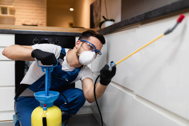 Best Pest Removal Services  in Llano Grande, TX