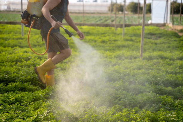 Llano Grande, TX Pest Control Company
