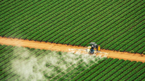 Best Mosquito Control Services  in Llano Grande, TX