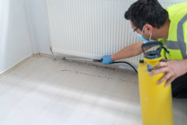Best Emergency Pest Control  in Llano Grande, TX