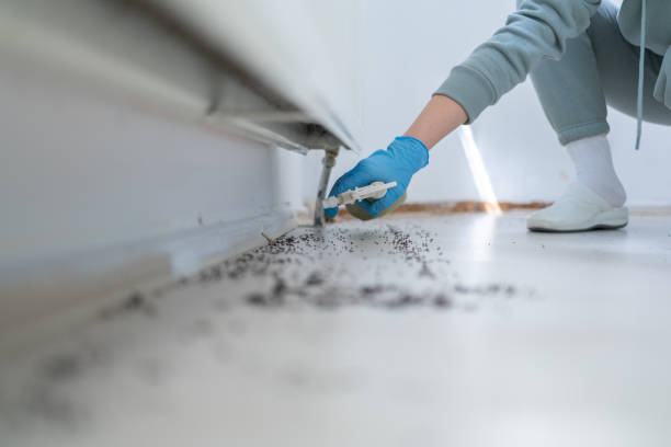 Best Pest Inspection Near Me  in Llano Grande, TX